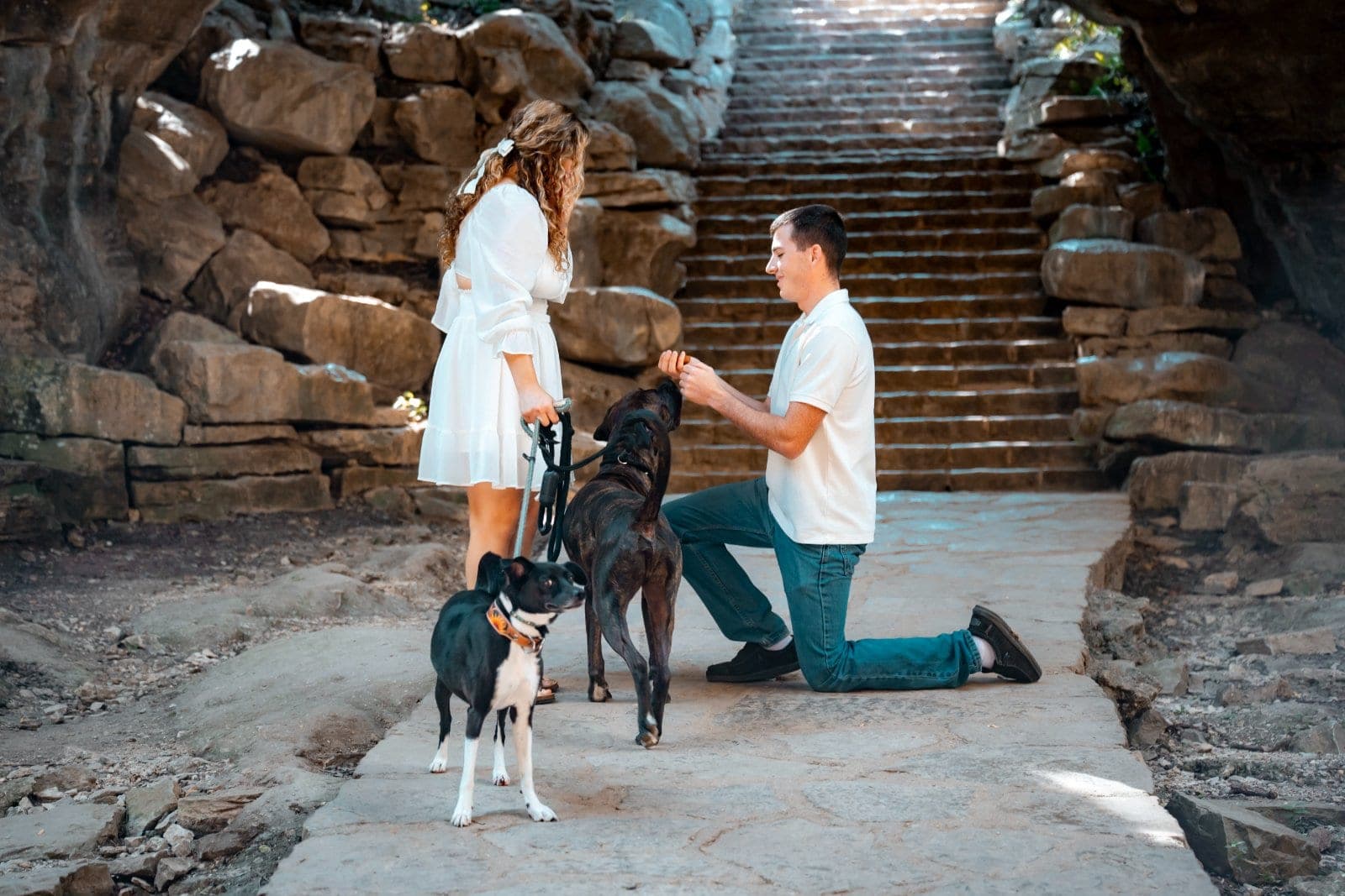 Man down on one knee proposing to his partner with their two dogs beside them beneath a rock formation in Burnet, Texas.