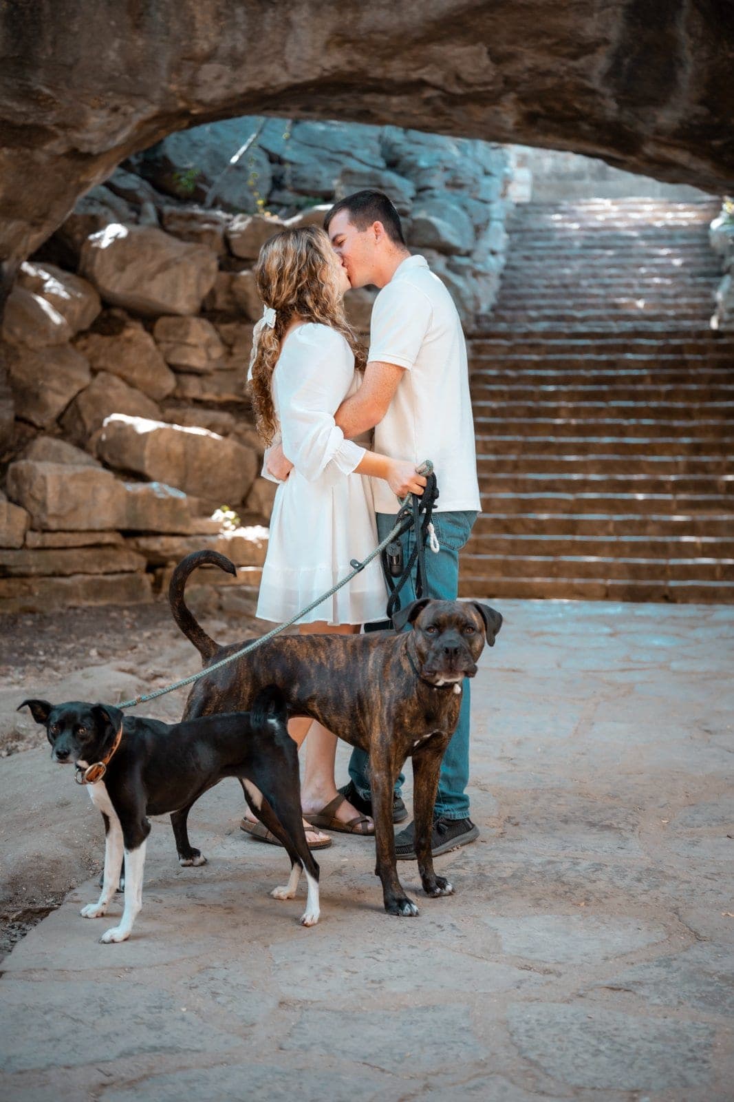 Newly engaged couple kissing with their two dogs beside them after an outdoor proposal in Burnet, Texas.