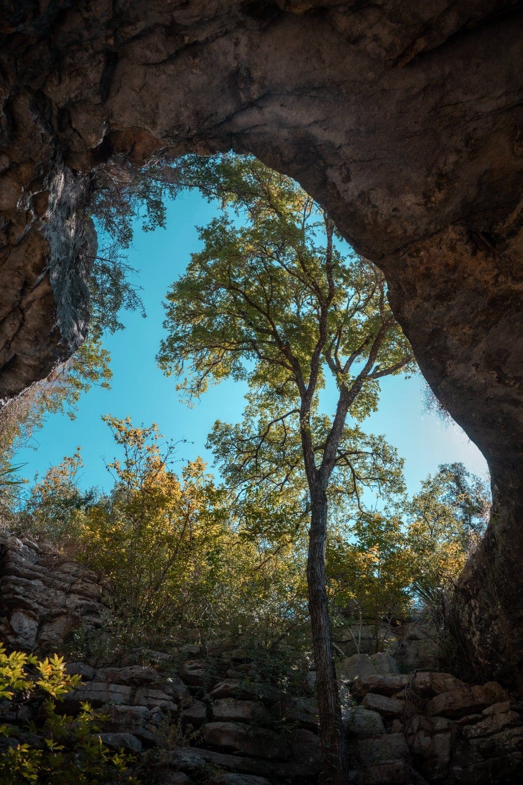 View of a sunlit tree and blue sky framed by a large natural rock opening in Burnet, Texas.