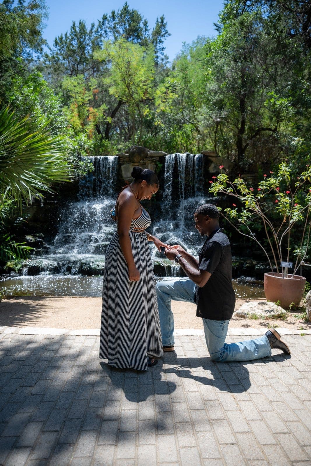 Man proposing on one knee to his partner in front of a garden waterfall in Austin, Texas.