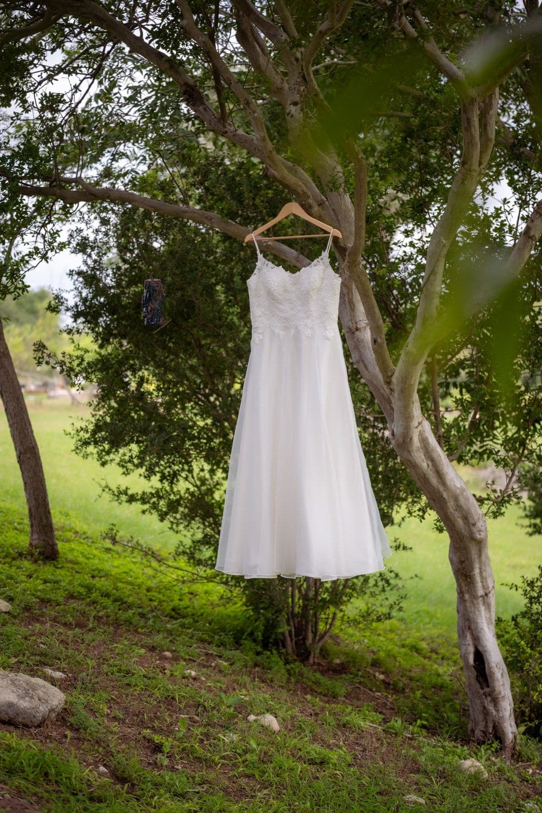 White wedding dress hanging from a tree during an outdoor wedding in Austin, Texas.