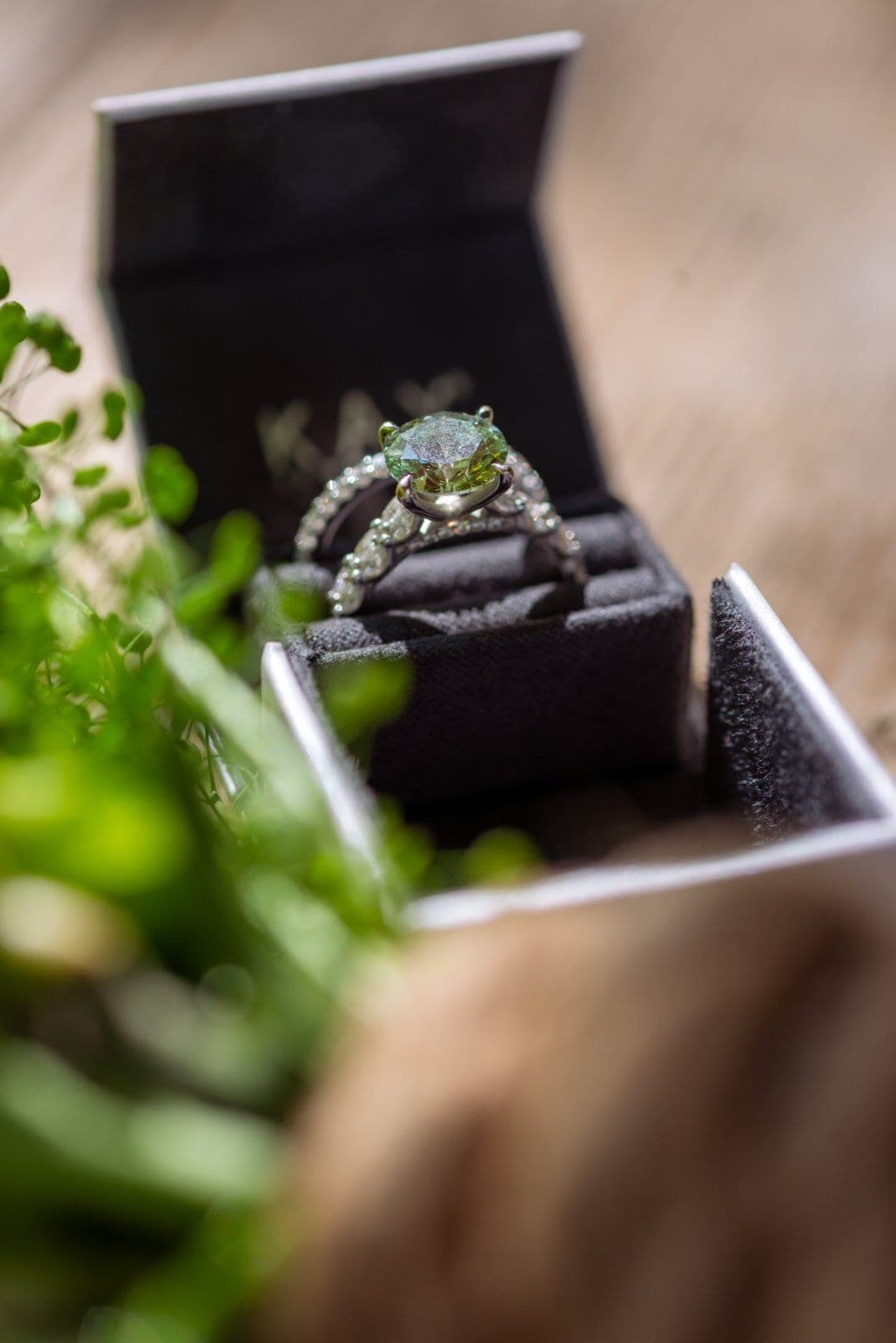 Engagement ring photographed in a black ring box surrounded by greenery in Austin, Texas.
